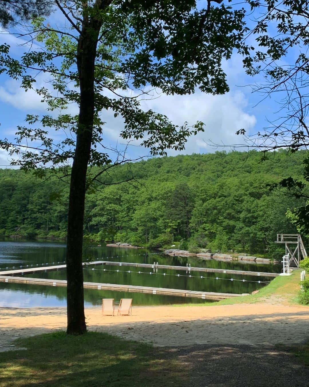 スコット・シューマンのインスタグラム：「After months in lockdown last week was the first time Jenny, my daughter and I got a chance to get out of the city! It was heaven! The smell of logs on a fireplace, making s’mores and canoeing in the lake were a nice break from the city. Thanks Cedar Lakes for the break! Now back to the city to watch the slow but ,hopefully stead, reopening of the city I love! @thesistersofcedarlakes」