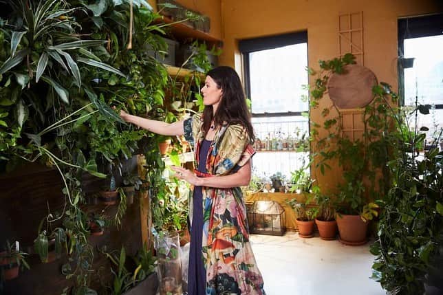 HGTVさんのインスタグラム写真 - (HGTVInstagram)「And you thought *you* had a lot of plants. 🌿 Venture into the Brooklyn apartment of Summer Rayne Oakes (@homesteadbrooklyn). 🌱 Her ultimate indoor jungle has over 750 plants! 💚 See even more at the link in our bio. 🐓⁠⠀ ⁠⠀ #plantgoals #plants #gardening #brooklyn #homesteadbrooklyn」7月1日 1時02分 - hgtv