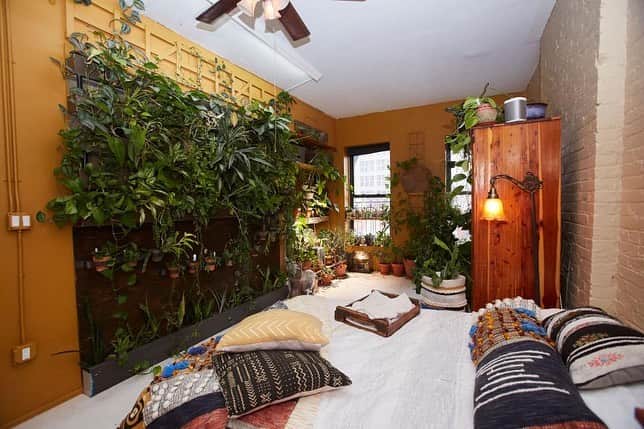HGTVさんのインスタグラム写真 - (HGTVInstagram)「And you thought *you* had a lot of plants. 🌿 Venture into the Brooklyn apartment of Summer Rayne Oakes (@homesteadbrooklyn). 🌱 Her ultimate indoor jungle has over 750 plants! 💚 See even more at the link in our bio. 🐓⁠⠀ ⁠⠀ #plantgoals #plants #gardening #brooklyn #homesteadbrooklyn」7月1日 1時02分 - hgtv