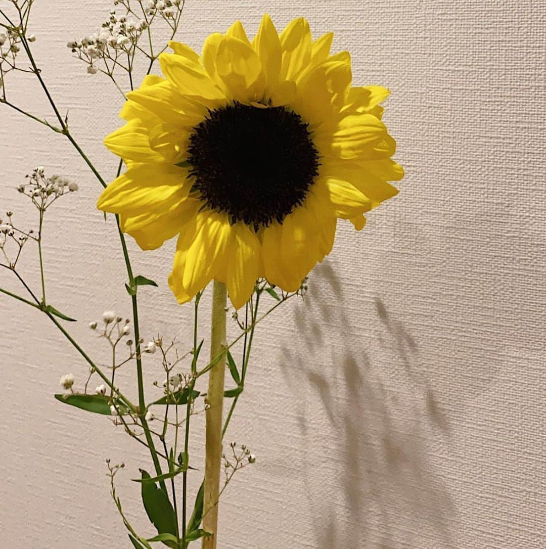 上大迫祐希さんのインスタグラム写真 - (上大迫祐希Instagram)「いただいたお花がかわいいの このシンプルな組み合わせがたまりません  何よりもかすみ草のことを英語でbaby's breathって言うことを知って可愛くてもっと好きになる🍼  #お花 #向日葵 #かすみ草 #flower #himawari #sunflower #minisize #yellow #kasumisou #babysbreath #white #happy #cute #bouquet #follow #l4l #instapic #instalike #instagood #instagram #🌻 #💐」7月1日 1時02分 - y_kamioosako