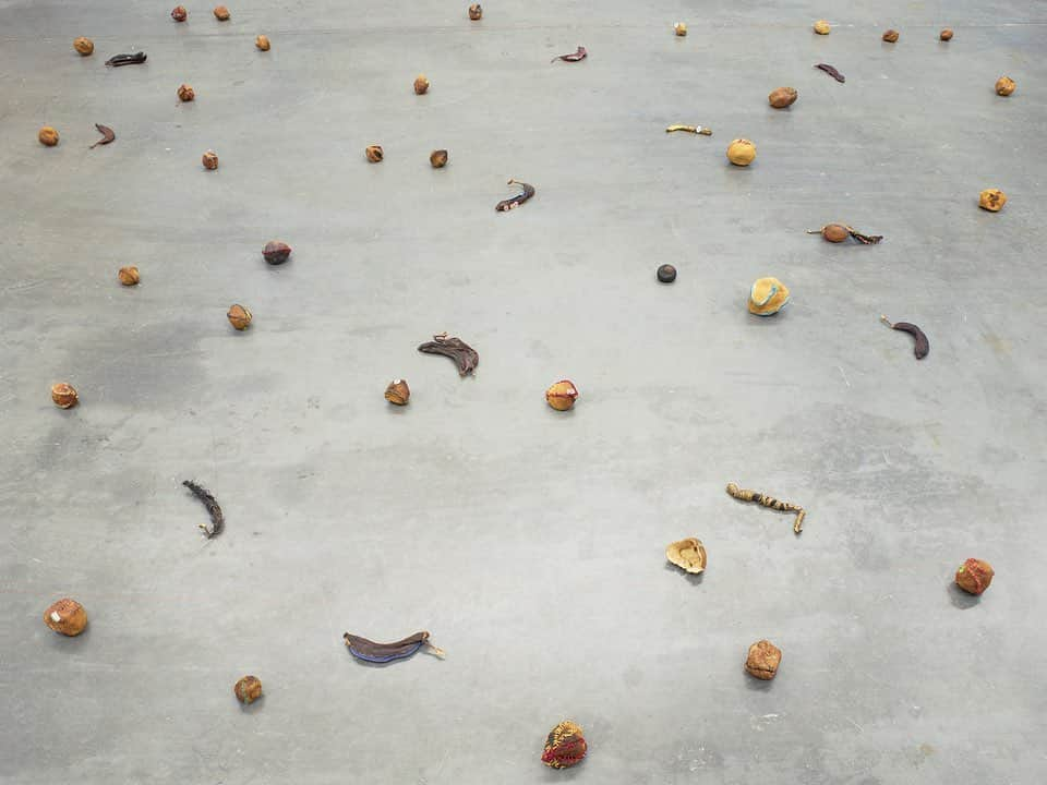 フィラデルフィア美術館さんのインスタグラム写真 - (フィラデルフィア美術館Instagram)「Zoe Leonard made the installation “Strange Fruit” after the death of her friend, fellow artist and AIDS activist David Wojnarowicz. The work is made of hand-sewn fruit skins that were emptied, dried, faded, repaired, and ornamented. Recalling the tradition of vanitas still-life paintings, which feature objects such as flickering candles or wilted flowers to suggest the fleeting nature of life, "Strange Fruit" is destined to decay over time.  Leonard also invokes the song, “Strange Fruit” written by Abel Meeropol, which became a national sensation when recorded by Billie Holiday in 1939. An antiracist anthem, the song’s haunting lyrics refer to the lynching of African Americans. Moved by the notion that American history is rife with devastating examples of violence against those who are different, Leonard applies the title to her remembrance of Wojnarowicz and those in the gay community lost to, and vilified by, the AIDS crisis. #PrideMonth 🏳️‍🌈 • “Strange Fruit,” 1992–97, by Zoe Leonard」7月1日 1時25分 - philamuseum