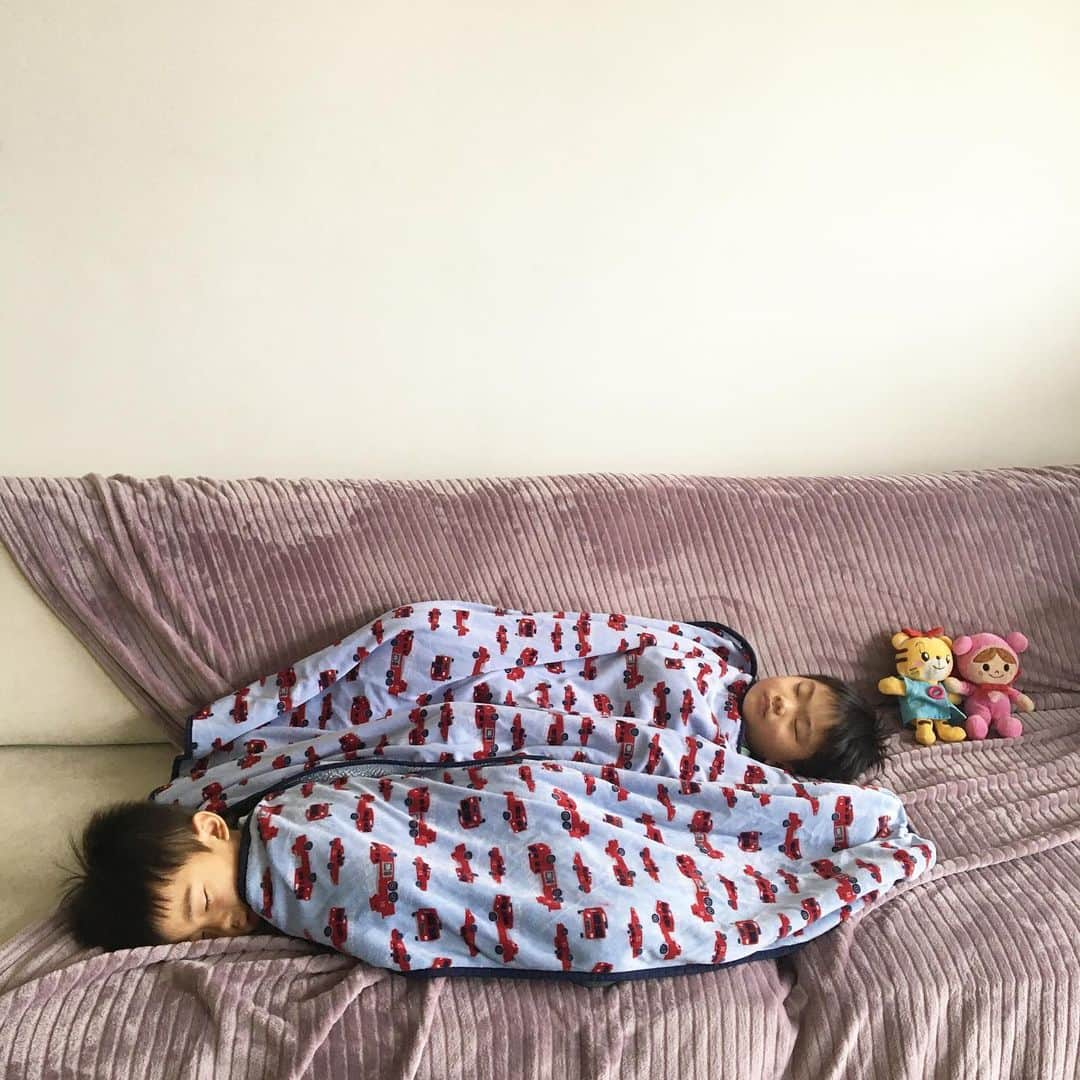 生島早織さんのインスタグラム写真 - (生島早織Instagram)「貴重な20分💤💤  2人時間差でお昼寝して、被ったのは20分💤💤  短かっ🤣  でも、この20分は本当に貴重❣️ ソファーにゆっくり座ってボーーーーっと☕️  ありがたや〜❤️  そして、寝ても覚めても🐡🐟🐟🐙 と言う言葉がピッタリ！  次男は1日中釣り🎣 しかも、少しずつ進歩？  魚の種類が増えるだけでなく、トイレットペーパー芯を使って、タコを作って〜とか、お魚作って〜って✂️  そして、日本語英語、ポルトガル語でも書いておいて〜  って！  読めるの？  とも思いましたが😅  色々思いつくもんだ👍  そして、何度目かの釣りを終えたら、『お料理します！』 と言って、ハサミでチョキチョキ切り出した。 初めは右で持っていたハサミも、気付くと左に持ち替えている。  左利きだろうなぁ〜と思って見ていますが、ハサミはどうしようかなぁ〜  今は、特別な所に行かなくても、左用も売っているのかな？ 一応は右でも使えているので、このまま右で練習してもらおうと思うけど・・・  全てきった後は、『形合わせパズルです！』 と、1人張り切り、魚ごとに組み合わせ、最後に、『ママ〜　テープで留めて！』  描いて 塗って 切って クリップ付けて 釣って 切って パズルして  このあそび最高やん👍👍👍  約1月でコピー用紙200枚無くなるけど🤣🤣  まー毎日工作だからね〜  因みに、トイレットペーパー芯、ラップ芯、食品タッパー、ペットボトルなどは、そのまま捨てることは殆どありません。 双子達の工作の材料なので常にストック。  割り箸やストローも大活躍。  まだまだ続くお家幼稚園🏠  コピー用紙500枚はストックしておこう🤣 因みに、新聞、雑誌、包装紙は全くなし！ あるのは、月に一度カレンダーをめくる時だけ📅 カレンダーは、大きさと、厚さもあるので大人気！ 二人で取り合いです🤣❣️  さて、明日は1日！  今夜のカレンダー争奪戦は？  #双子育児 #双子ママ #同時にお昼寝 #おうち遊び #お家幼稚園 #手作りおもちゃ #海外生活 #海外育児 #トリリンガル育児」7月1日 2時31分 - saori.ikushima