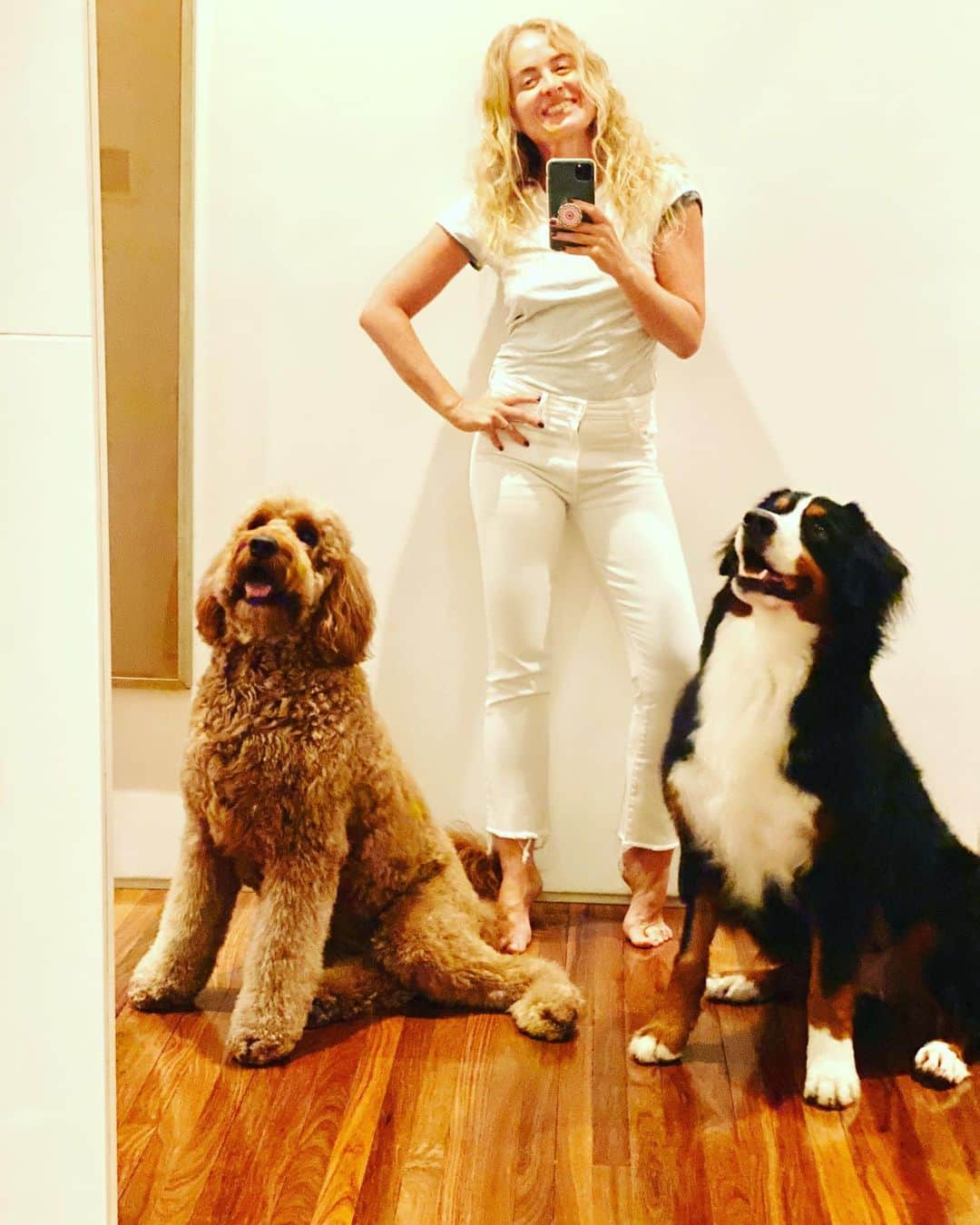 アンジェリカさんのインスタグラム写真 - (アンジェリカInstagram)「Parte da minha turminha ..., blogueirando😍 @gringa_the_dog  #Obama #Berenice , muito amor ! #amoranimal #doglovers #goldendoodle #bernese」7月1日 8時43分 - angelicaksy