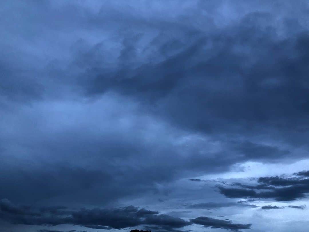 中村靖日さんのインスタグラム写真 - (中村靖日Instagram)「.  おはようございます。  2020年07月01日04時25分、 東京都心。  風がとても強い。 鳥はあまり鳴かず姿を見せない。  手すりに置いた お茶のペットボトルが 風に煽られこっちへ飛んで来て ぼくもベランダも びしょびしょになってもうた。  夏が来るね。  7月です。  #goodmorning #dawn #sunrise #sky #clouds #birdssinging #bird #birds #summer #summerday #diary #memory #record #ambient #landscape #balconyview #tokyo #japan #photo #actor #withafterpost」7月1日 5時13分 - yasuhi_nakamura