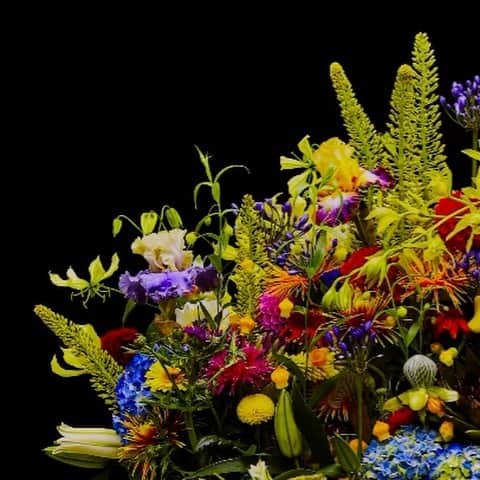 椎木俊介のインスタグラム：「Flowers  #azumamakoto #makotoazuma #shiinokishunsuke #amkk #amkkproject #flowers #flowerart #東信 #東信花樹研究所 #花  #timelapse」