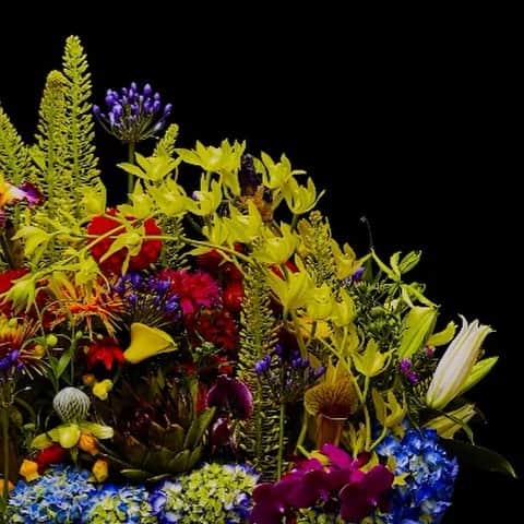 椎木俊介のインスタグラム：「Flowers  #azumamakoto #makotoazuma #shiinokishunsuke #amkk #amkkproject #flowers #flowerart #東信 #東信花樹研究所 #花  #timelapse」