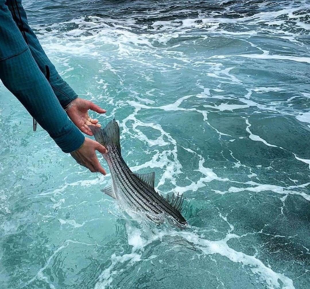 のインスタグラム：「Back to the drink. 📷: @kismetoutfitters #SeeWhatsOutThere #BornOnTheWater」