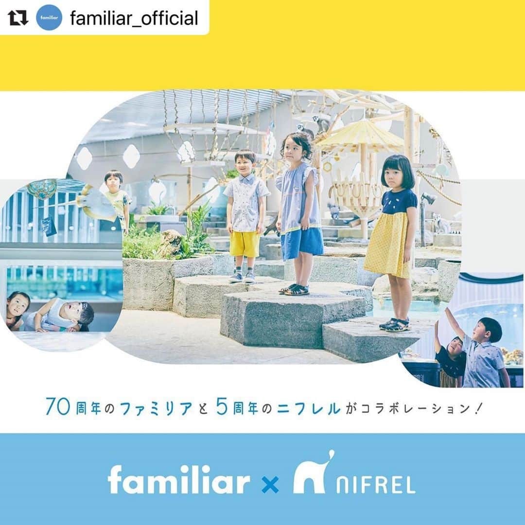 生きているミュージアム　NIFREL（ニフレル）公式さんのインスタグラム写真 - (生きているミュージアム　NIFREL（ニフレル）公式Instagram)「. . 70周年のファミリアと5周年のニフレルがコラボレーション🎶🦛🦜🐒🐧🐠🐯 生きものからインスピレーションされた素敵なデザインの限定アイテムが登場します‼️🤩✨ . #Repost @familiar_official with @make_repost ・・・ 【NIFREL×familiar ~個性に触れる~】﻿ 大阪吹田市「EXPOCITY」の生きているミュージアム﻿ 「NIFREL(ニフレル)」とのコラボレーションが実現🎨🐠=333﻿ ﻿ 「個性に触れる」をテーマに、﻿ デザイナーがニフレルの多様な生き物を観察し﻿ そこから生まれたインスピレーションを﻿ デザインに落とし込みました🐊﻿ ﻿ SPECIAL ITEMとして、いきものスタイルや﻿ ミニバッグ、ブローチ、レッスンバッグが登場！﻿ ﻿ また、ニフレル特設ページでは、実際の生き物が﻿ アートになるまでの工程をご覧いただける﻿ 「いきものデジタルミュージアム」も開催しております🦛﻿ ﻿ ぜひおやこでアートに触れる﻿ 楽しい夏をお過ごし下さいね🧑🏻‍🎨👨🏻‍🎨  詳細はストーリーズハイライト﻿ 🔗"NIFREL"より特設ページをご覧ください👀✨ ﻿ #nifrel #ニフレル #expocity #nifrel_familiar﻿ #familiar #ファミリア #familiar70 #myfirstfamiliar」7月1日 17時26分 - nifrel_official