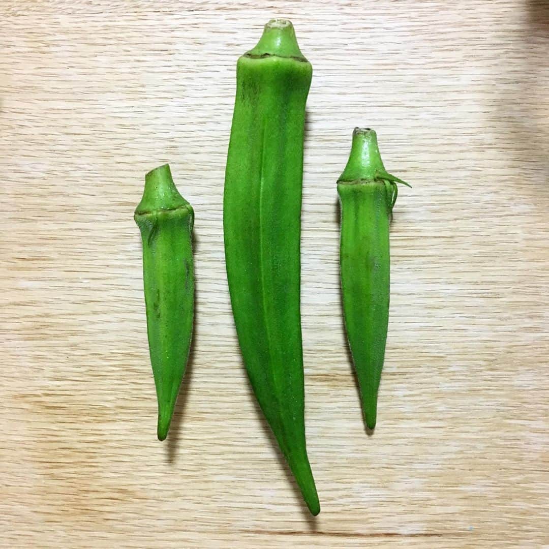 平野由実さんのインスタグラム写真 - (平野由実Instagram)「#オクラ #大きいサイズ #大きな野菜 何を作ろうかなぁ。」7月1日 17時39分 - yumi_hiranoo
