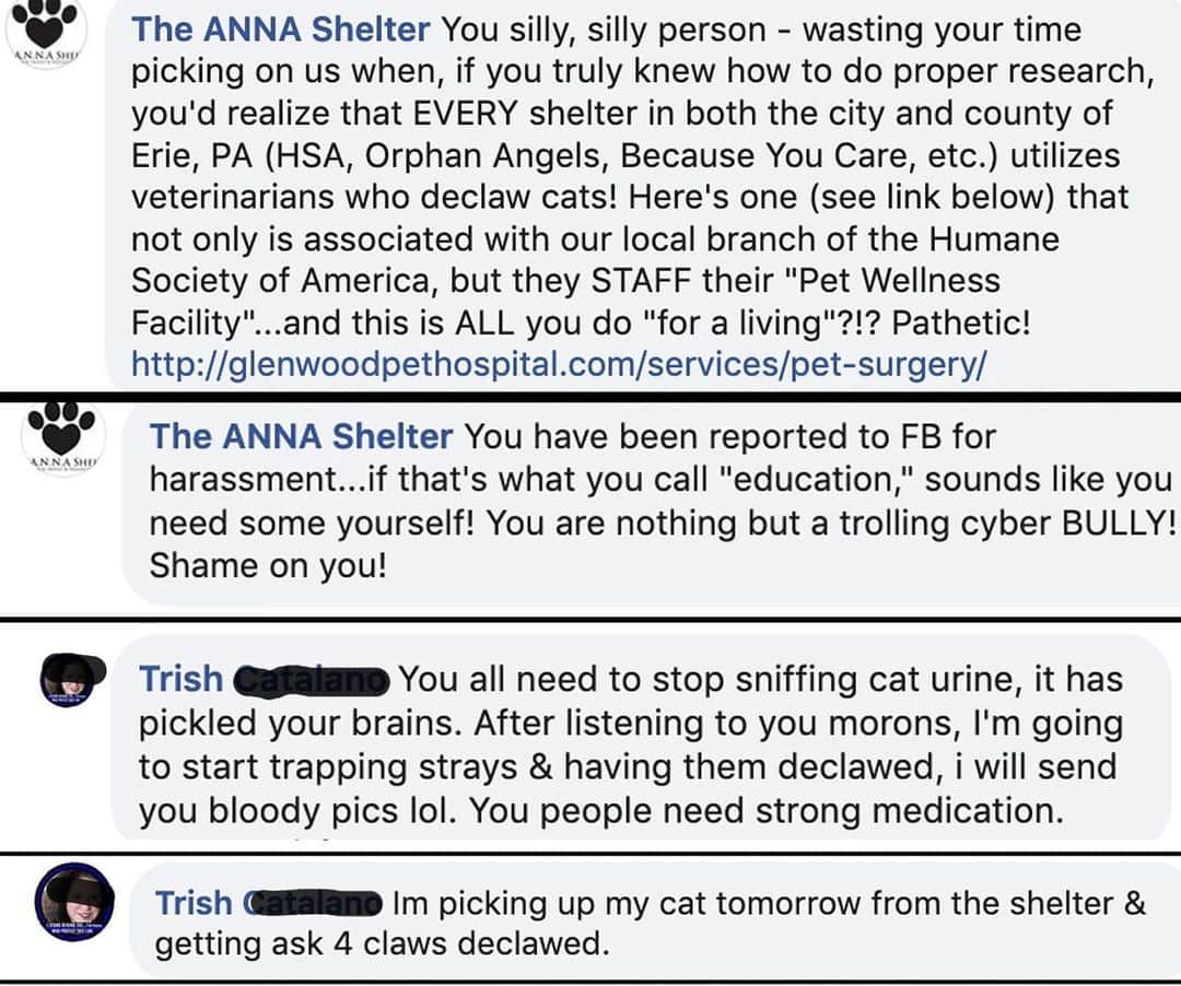 City the Kittyさんのインスタグラム写真 - (City the KittyInstagram)「We need your advice. We are still getting lots of mean, harassing, disturbing, and threatening comments and notes from many of @theannashelter supporters who are angry at how we are trying to inspire their favorite shelter to stop performing and profiting from declawing in their Wellness Centers. 😿  The ANNA Shelter even called us names when we tried to help get some of their cat's adopted. 🙀   Yesterday, one of their supporters sent an email with a graphic photo of a dead cat with half his body gone and said he's going to keep sending pictures like this to us. 😿🐾#TeamANNA  In all the years of doing this cause, these ANNA Shelter supporters have been some of the most vicious, scary, and mean spirited.  It's disheartening and shocking how they don't seem to want to join us and help protect innocent and vulnerable cats in Erie from this barbaric cat cruelty and abuse. (declawing)😿😿🐾 . If all of them would send Ruth, the director of this shelter, a note and ask her to do the RIGHT THING and stop providing the cheapest declaw in town and instead sell scratching posts, scratching pads, give nail trims, apply Soft Paws, etc, then that would help replace the thousands of $$$ that the ANNA Shelter's WELLNESS Centers make from declawing.  . What do you think we should do? Keep going with this campaign or end it and hope that someday the director, Ruth, will truly care about the welfare of cats and not offer declawing services? . It's our guess that the ANNA Shelter is going to be the last animal shelter in America that performs and profits from declawing in their WELLNESS Centers. (Houston Humane Society is the other shelter.) 😾  Please sign our petition on our Instagram bio link. 🐾  Always take the high road, be polite, and educate no matter how low they go.  We also reached out to the ANNA Shelter's declawing vets, Dr. Jessica Bahl,  Dr. Jean McInerney, and Dr Sarah Zeigler to see if they will try to inspire Ruth to not offer declawing and just take the humane path.  Surely these doctors can't feel good when they barbarically amputate the toe bones and claws on cats when there are always humane options. 😿🐾💔 #annashelter #eriepa #erie #pa」7月1日 9時39分 - citythekitty