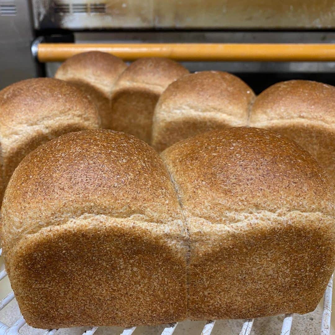 魔女菅原のグルメインスタ