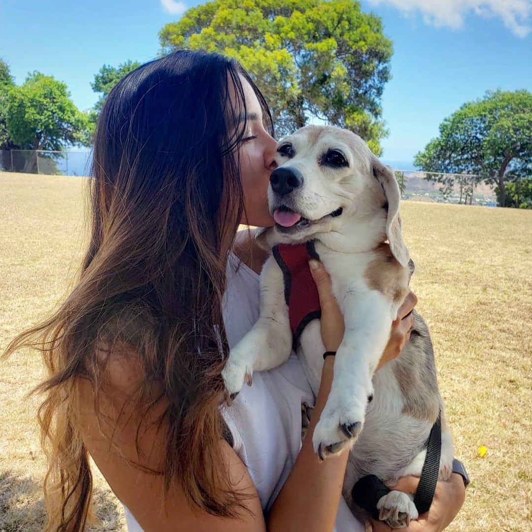 マヤ アリーナのインスタグラム：「I can’t handle how much I love this girl 😭#pepperchan #seniorbeagle #mylove」