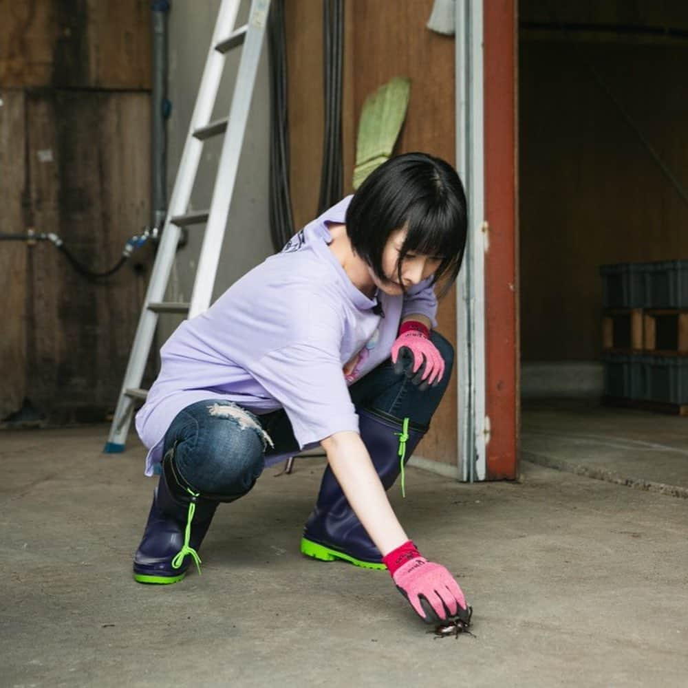 鳥居みゆきさんのインスタグラム写真 - (鳥居みゆきInstagram)「初甲虫 哀川翔さんにカブトムシとの戯れ指南していただいた  「哀川翔のオトナ倶楽部」  ＢＳスカパーにて、 7月3日（金）２２：３０から２３：００ 7月5日（日）１８：３０から１９：００ ※7月5日は、無料開放デーですのですべての方がご覧になれまよー！  #哀川翔のオトナ倶楽部 #カブトムシ」7月1日 12時54分 - toriimiyukitorii