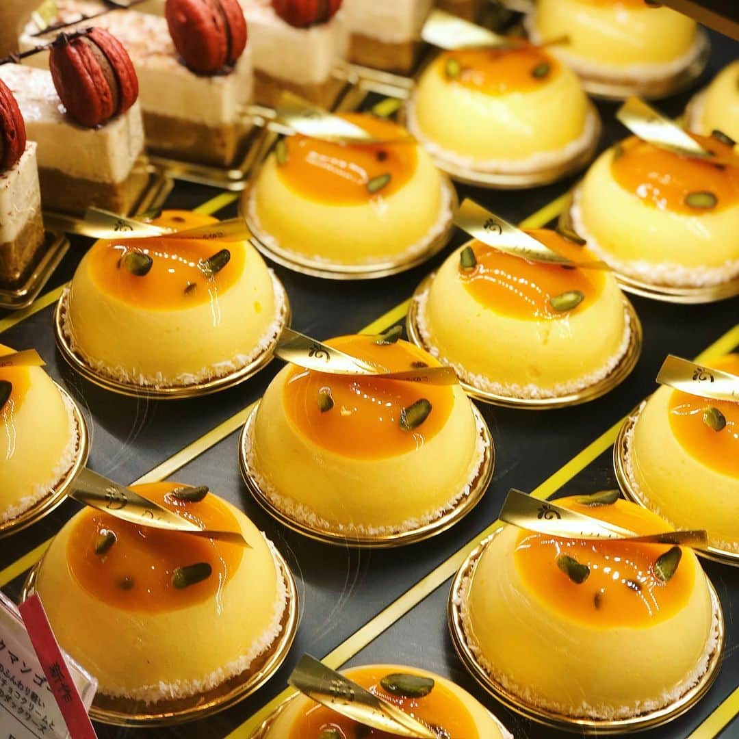 eguchikazuakiのインスタグラム：「今日のランチケーキはこれ‼️ 【エキゾチックマンゴー】 パッションフルーツやマンゴーを使った酸味良し、香り良しの夏のケーキです🥭 中には青リンゴのバターソテーとアプリコットで作るクリーム入りで、層になっています🥭 ・ ミルクチョコレートとマンゴーのライトガナッシュクリームの二層‼️土台にはココナッツのダックワーズ🥥 ・ ジャスミンティーとかいいな、フレーバーティーもおすすめしたい🥂ぜひケーキとドリンクを合わせる体験をしてください、日本は単体で食べる事が多いですが、合わせてほしい、違う世界を体感してください😊 ・ #delimmo #デリーモ #マンゴー #エキゾチック #パティシエ #ショコラティエ #チョコレート #スイーツ #パッションフルーツ #紅茶 #ジャスミンティー #マリアージュ #体験 #経験価値 #江口和明 #eguchikazuaki #食べすぎ #ランチ #サラダ #スープ #これもしっかりうまい」