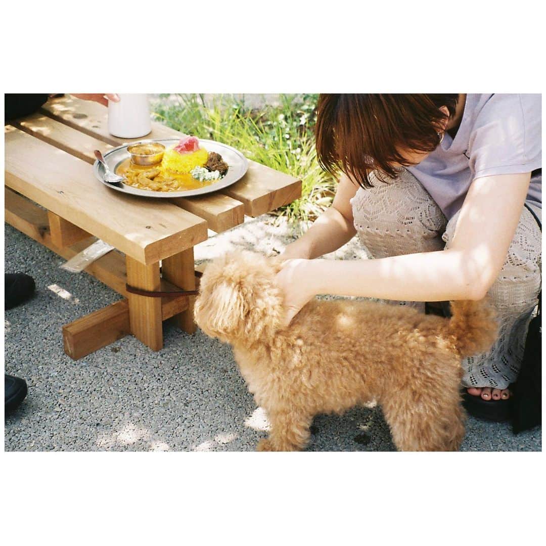 小口桃子のインスタグラム：「友達と犬さんとみんなでカレーを食べに行った日。天気も良くて最高だった。 ﻿  またすぐ行きたい🍛﻿ @adda_shimokita  ﻿ ﻿ #camera#filmcamera#filmphotography#film#フィルムカメラ#フィルム#ogumomofilm」