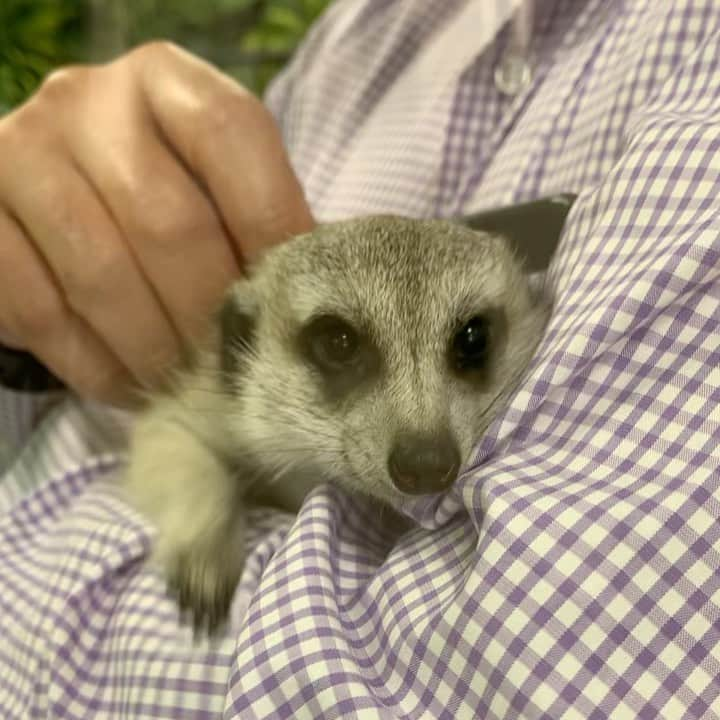 【公式】福岡ECO動物海洋専門学校のインスタグラム