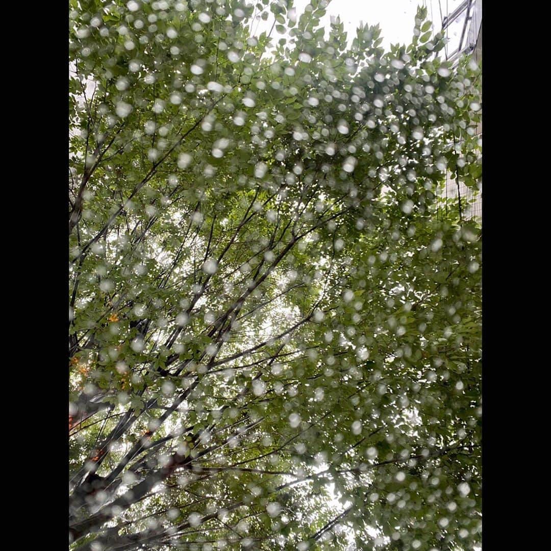 木村拓哉さんのインスタグラム写真 - (木村拓哉Instagram)「﻿ ﻿ 「かなりの雨量に強風！﻿ ﻿ 皆さん、くれぐれも気をつけてお過ごし下さい。」﻿ ﻿ STAY SAFE‼︎﻿ ﻿ 拓哉﻿ #木村拓哉#TakuyaKimura」7月1日 14時16分 - takuya.kimura_tak