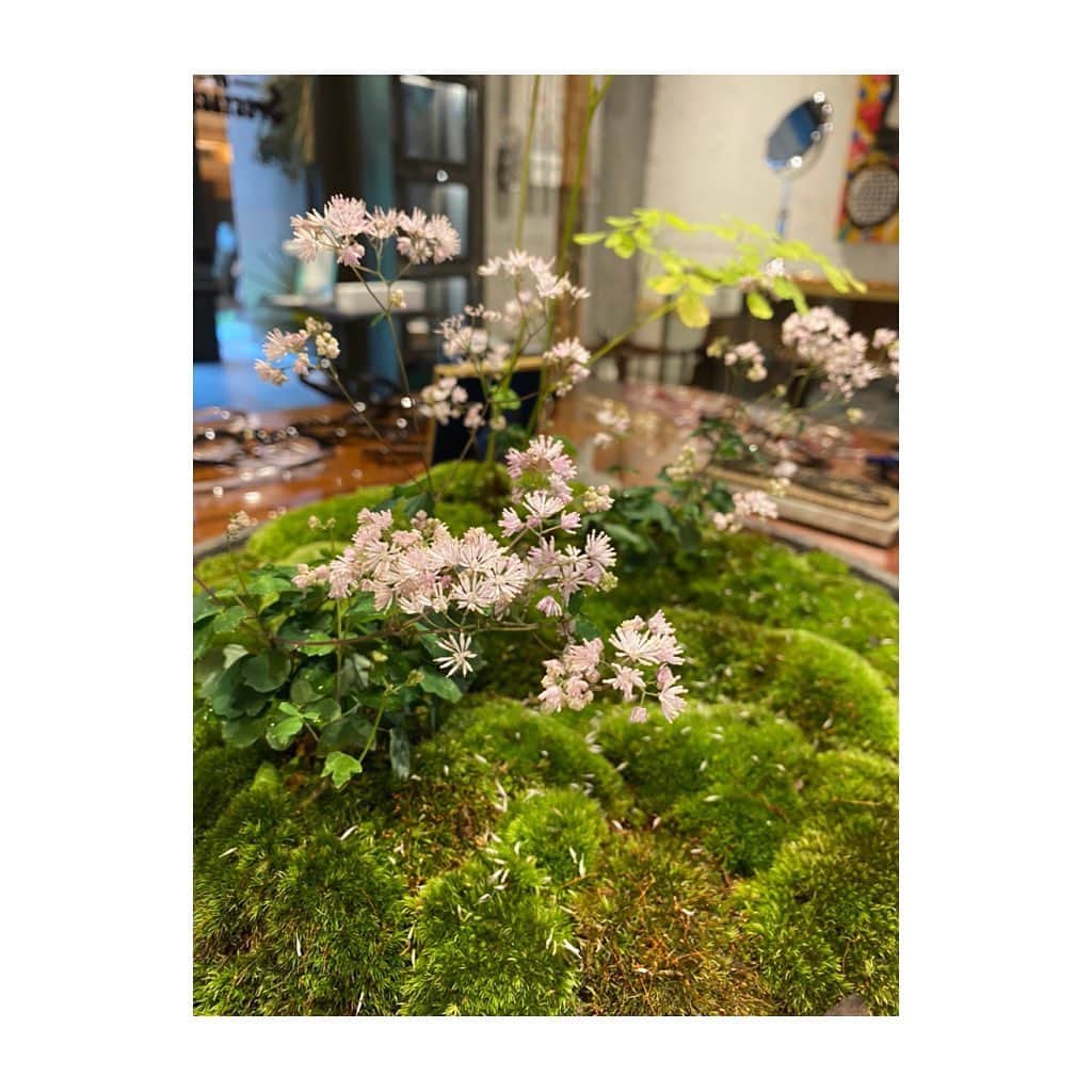 GLOBE SPECS_officialさんのインスタグラム写真 - (GLOBE SPECS_officialInstagram)「GLOBE SPECS KYOTOの植栽をご担当いただくのは京都の花屋みたてさんです。  京都店へお立ち寄りの際は、是非ご覧ください。  #globespecskyoto  #植栽 @mitate_hanaya」7月1日 14時21分 - globespecs_official