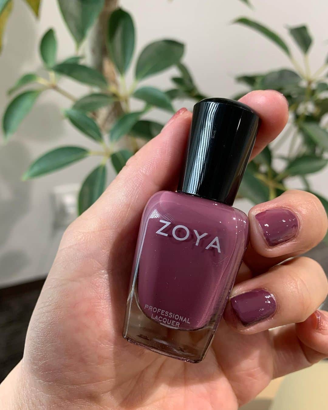 中澤裕子のインスタグラム：「💅💅 この２、３日の間に 爪が恥ずかしい事になってしまったので 広島駅に着いてPLAZAへ  急いで買ったけど めちゃくちゃ好みの色  ひとまずこれでよし  #広島  #セルフネイル #塗るだけ  #ZOYA #ZP907」
