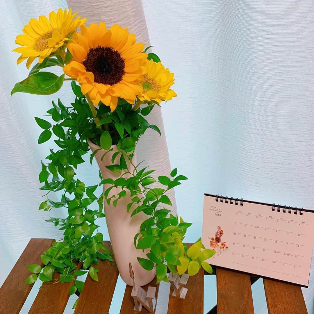 小澤陽子さんのインスタグラム写真 - (小澤陽子Instagram)「𝑓𝑒𝑒𝑙𝑖𝑛𝑔 𝐽𝑢𝑙𝑦...🌻  2020年も、下半期 突入ですね📆  今年初のひまわりを 連れて帰ってきました…🥰🌻  一緒に買ったこのツルのような葉っぱ🌿 普段はあまり小売りに出回っていないそうなんですが、コロナウィルスの影響で、よくこの葉っぱを使用する結婚式などがなくなったりで…今こうして私たちの手にも入りやすいようになっているそうです☘️ (※購入したお花屋さん情報)  花瓶やお花に巻き付けて、 一段と華やかになりました✨ かわいい🤤❤︎ . .  #あーかわいい🥺🌻 #一番好きなお花 #太陽に向かって空に向かって真っすぐ🌻 #2020年下半期突入 #大好きなイラストのカレンダーにもひまわりが😍 #Hello #ひまわり#🌻 #元気をもらっています #今年初ひまわり」7月1日 14時55分 - yoko.ozawa729