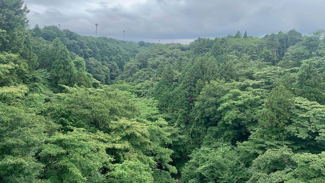 安森彩那さんのインスタグラム写真 - (安森彩那Instagram)「ぬんちゃれすごんざえもん☀️.° 今日はA・RA・SHI！A・RA・SHI！for dream て言ってたのにそーでもないな。でも今日のテッペン超えるまで今日なので油断は禁物やでと思う、ニコハピルンティぬーsunです✋ - 昨日のBUZZHOUSEの話の前に、なんと700人突破しました❗👏🏻ありがとうございます😭💓私たちの第一目標1000人までの希望が見えてきました！！達成したらオフ会＆鎖骨ワイン🍷ですから！この時期なので色々考慮してからの開催となります(ᐡ⸝⸝- -⸝⸝ᐡ)これからも応援してもらえるようにぎゃむばる！ --- さて、話は昨日のBUZZHOUSEへ❗ ・ 【御殿場アウトレット】HILL SIDEがオープンしたばかりの御殿場OMで給付金活躍！？「経済回しに」が合言葉w【VLOG】◆#062-BUZZHOUSE：バズハウスセカンドシーズン◆ です✿.*·̩͙ - 給付金で経済回そうって事で御殿場行ってきました！ その前に❗車内でちょっとお腹を満たそうとスーパーで朝ごはん買って行こうって事でみんなおにぎり、サンドウィッチの中、ちぃちゃんは、おにぎり、お好み焼き、チキン南蛮750g、ピザなど車内で食べる量やなかったむしろ一人パーチー状態(笑)いや、みてて気持ちよかったですわ♪̊̈♪̆̈私だったらもたれる。若いって素晴らしい👏 - 御殿場到着〜✩.*˚ あいにくの天気で富士山見えなかったけどとにかく緑いっぱいでした🌳🍃 - 新しくできたHILLSIDEも子どもが遊べるメリーゴーランドもあり買い物にあきたお子さんを目だけでも楽しませれるんじゃないかと😁✨ - 途中カフェタイム。 ちぃちゃん、ホットを頼んで猫舌なため、結局飲めずにいました🤫 - そしてラスト❗ 荻波高子先生監修のもと、みんなでお揃っちのウェアをGETしましたᕙ( ˙꒳​˙ )ᕗ♥ みんなであーでもないこーでもないと意見して試着しまくって 1時間くらい居たんちゃうかな？(笑) 帰る頃には夕陽が出てめっちゃ綺麗やった🌇🌅 - 7時間はあっという間でした(笑) とにかく広い❗ cheluはこの土地ぜ〜んぶ欲しいっといっておったぞ🤫 まだ観てないって方はみーてね！テラ〇ハウスみたいでおしゃれ。htさんカッコよく撮って頂きありがとうございます😊ちょいちょいでてくるゴリラP🦍さんも運転ありがとうございましたᕙ( ˙꒳​˙ )ᕗ - さ！みんなはどんなお買い物をしたのかは今日のBUZZHOUSE19時に配信されるのでみーてね❗❗ ----- #youtube  #給付金 #御殿場 #outlet #cafe  #shopping #brand #instagood  #instalike」7月1日 15時04分 - ayana.y_official