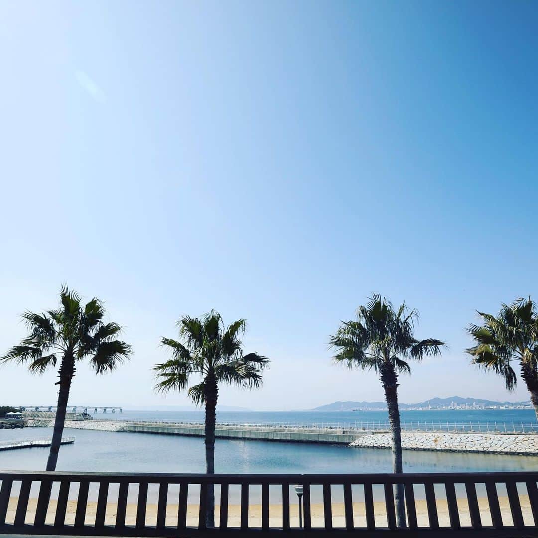 17人をフォロー中 【結婚式場】ラヴィマーナ神戸ウエディングのグルメインスタ