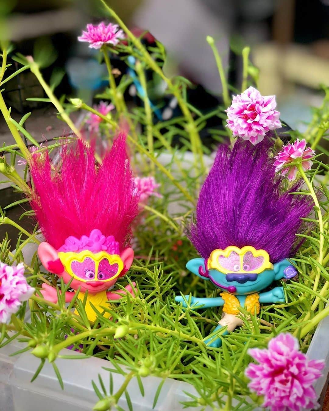 McDonald's Philippinesのインスタグラム：「@hellochacha23 is having a rockin’ playtime at home with Party Poppy and Party Branch. Tag us in your Trolls World Tour Happy Meal collection! 😄」
