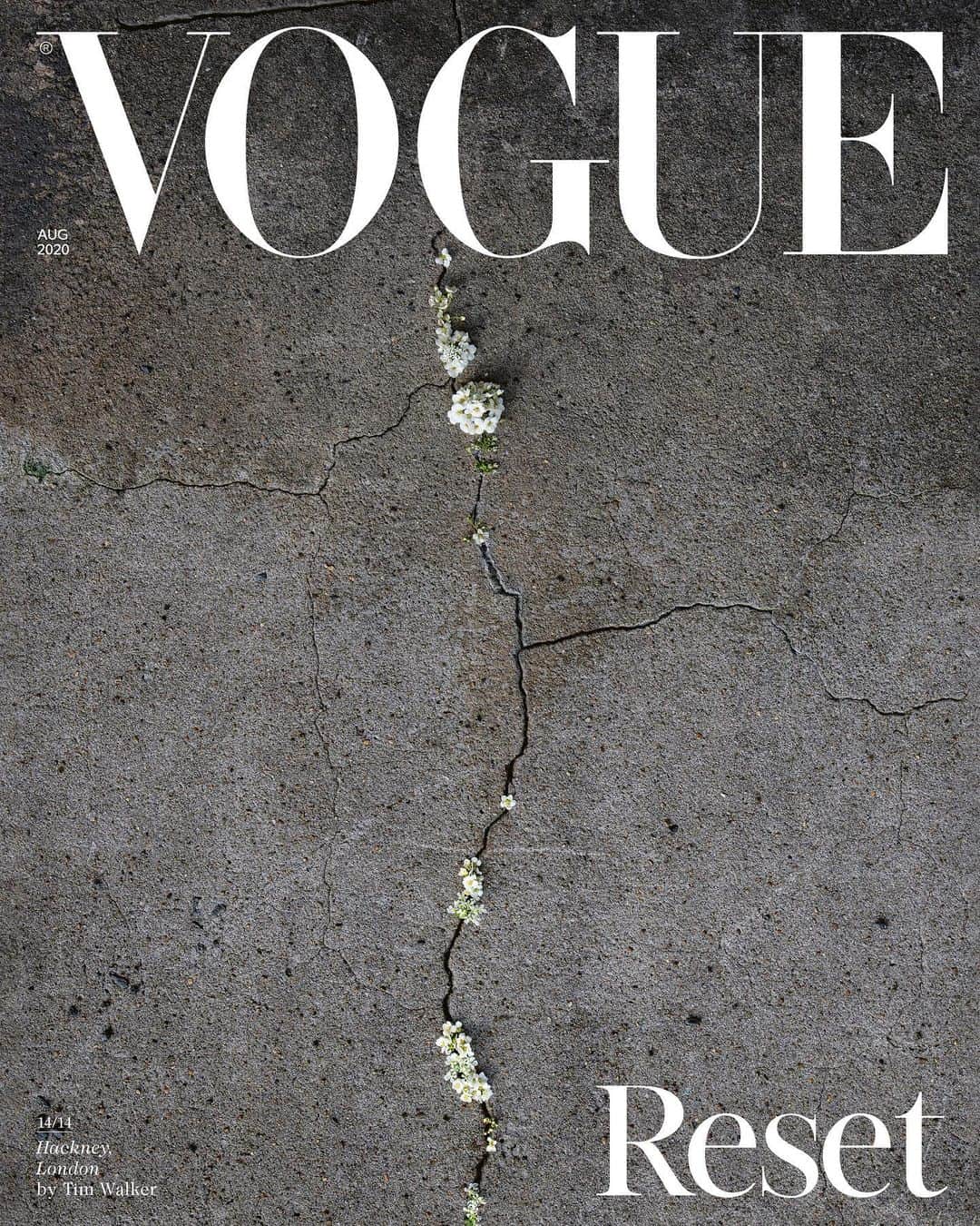 British Vogueさんのインスタグラム写真 - (British VogueInstagram)「#TimWalker’s cover image of the small white blossoms pushing through a grey concrete wall was taken at his home in Hackney in April. “It is a response to a text I was sent by the 83-year-old Satish Kumar, editor of Resurgence magazine, which deals with environmental issues.” The powerful image is one of 14 special covers for the “reset” series for #BritishVogue’s August 2020 issue. See the full portfolio in the new issue, on newsstands and available for digital download Friday 3 July. And click the link in bio for more on Walker’s cover image.」7月2日 1時56分 - britishvogue
