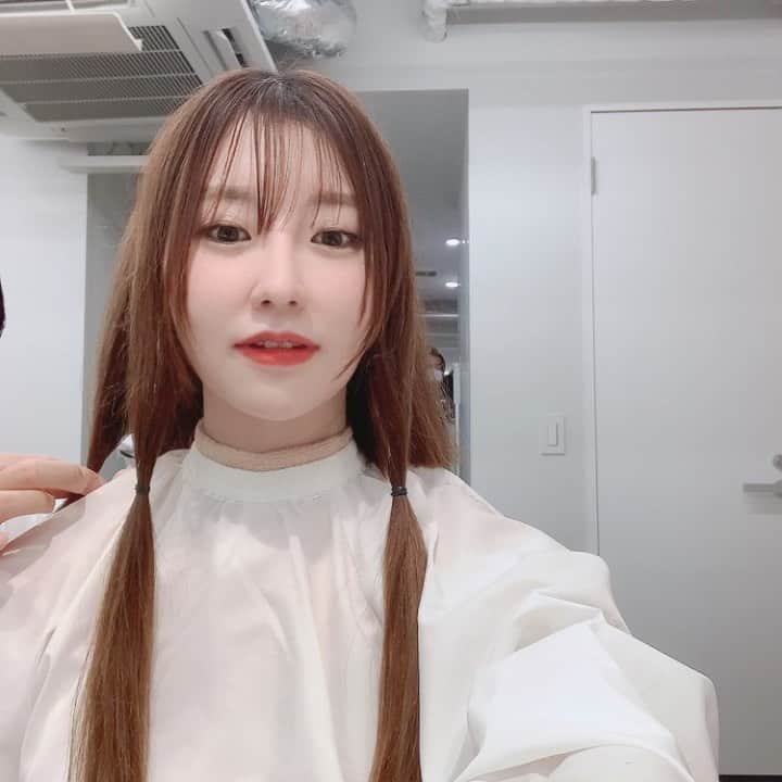 矢野冬子のインスタグラム：「今までお世話になりました！ ありがとうございました😊 さようなら〜！！！！！ ABBEY GINZAさんで切っていただきました☺️！！！！！ ショートなんて何年ぶりだろう💕 #ヘアドネーション」