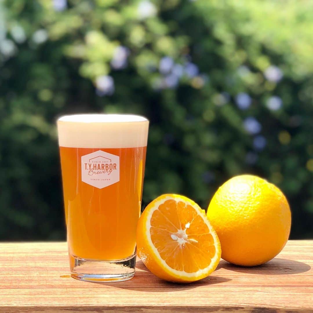 TYSONS&COMPANYのグルメインスタ