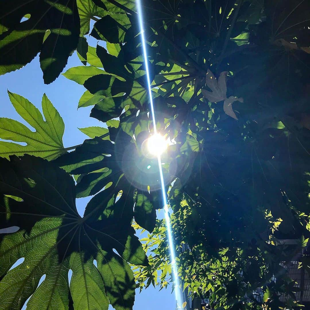 hotelgraphynezuさんのインスタグラム写真 - (hotelgraphynezuInstagram)「The light always finds its way through. 🌟 太陽を待っています〜☀️ ———————————————— @hotelgraphy_nezu  ———————————————— #hotel #hostel #hotelgraphynezu #japan #japanlife #japan_of_insta #waitingforthesun #light #spiritual #thoughtoftheday #tokyo #july #ホテル #ホステル #ポジティブ #ホテルグラフィー根津 #7月 #日本旅行 #日本 #光 #夏 #今日の考え #根津 #谷根千 #東京 #フォト」7月1日 19時13分 - hotelgraphy_nezu