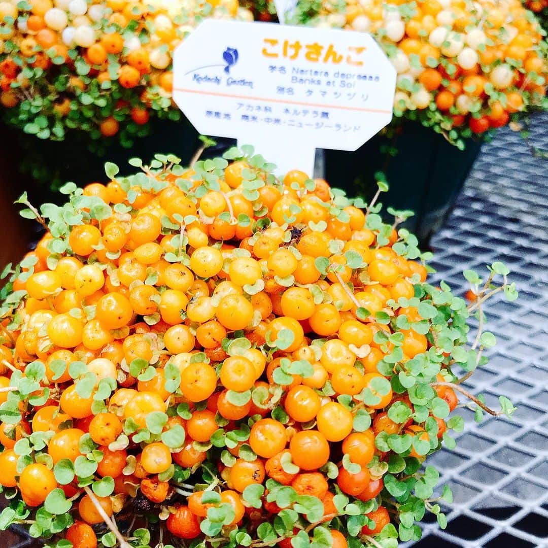 三好ジェームスのグルメインスタ