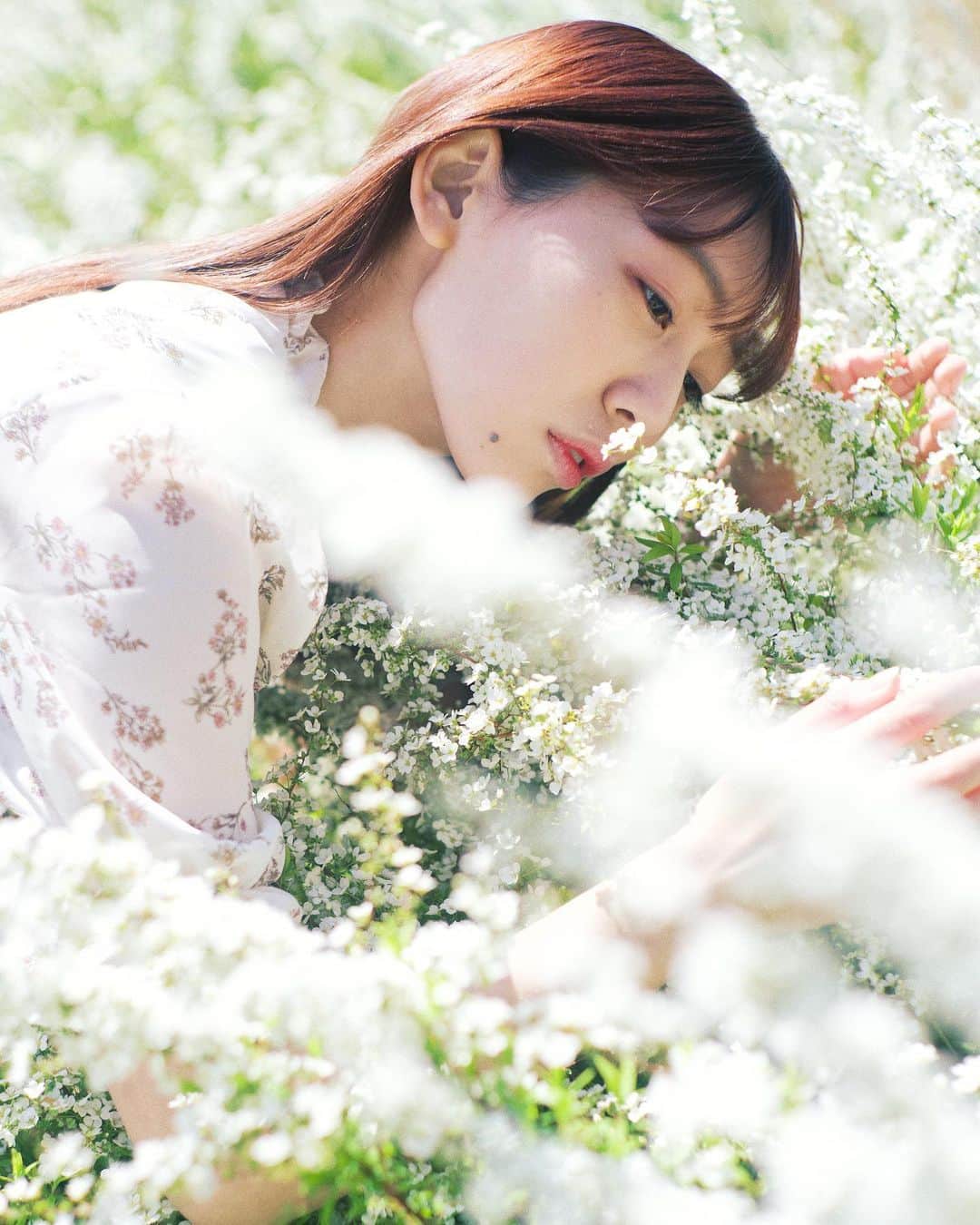 haru wagnusさんのインスタグラム写真 - (haru wagnusInstagram)「flower of voices  ㅤㅤㅤㅤㅤㅤㅤㅤㅤㅤㅤㅤㅤ ㅤㅤㅤㅤㅤㅤㅤㅤㅤㅤㅤㅤㅤ ㅤㅤㅤㅤㅤㅤㅤㅤㅤㅤㅤㅤㅤ  #flowerportrait  #summilux50mm1st」7月1日 19時33分 - wagnus