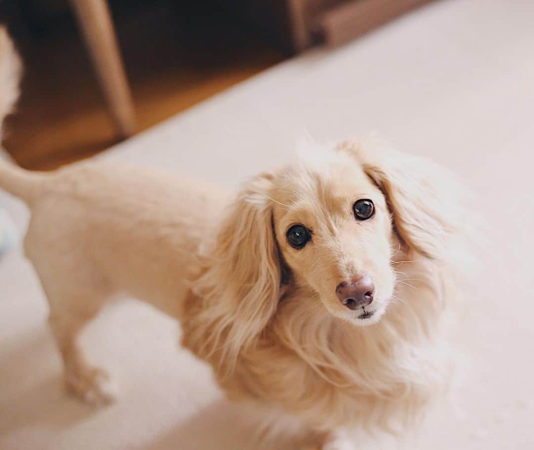 のインスタグラム：「Good evening🥺」