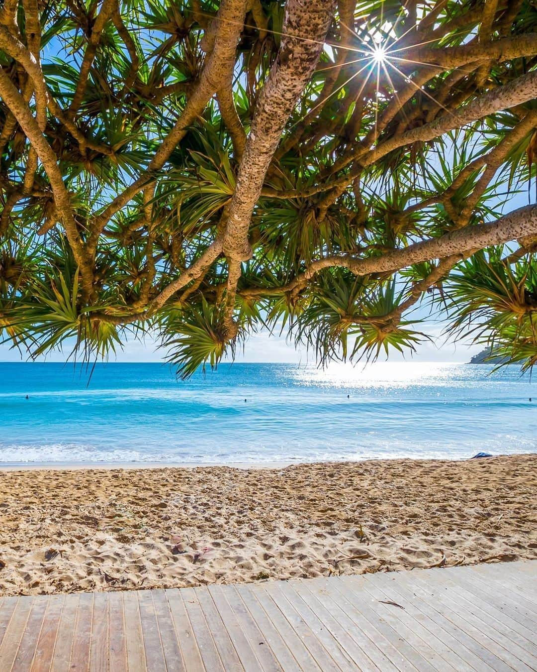 Australiaさんのインスタグラム写真 - (AustraliaInstagram)「Gee, @visitnoosa - you’ve really turned on the weather for us here! ☀️ @mitchellpettigrew referred to this as a “perfect day” on the aptly named @visitsunshinecoast, which boasts more than 300 days of sunshine per year. This laid-back part of @queensland is famed for its mild climate, which makes holidaying here a delight all year round. Sunny, 22°C days in winter? Yes please! Tag a mate to escape winter with right here! #seeaustralia #thisisqueensland #visitsunshinecoast #visitnoosa」7月1日 20時00分 - australia