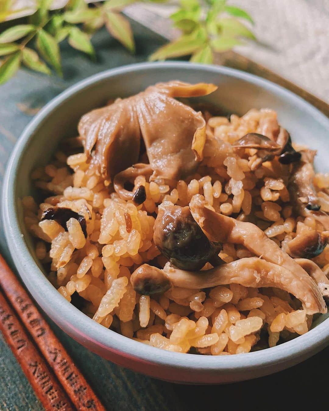 柏の葉 T-SITEのグルメインスタ