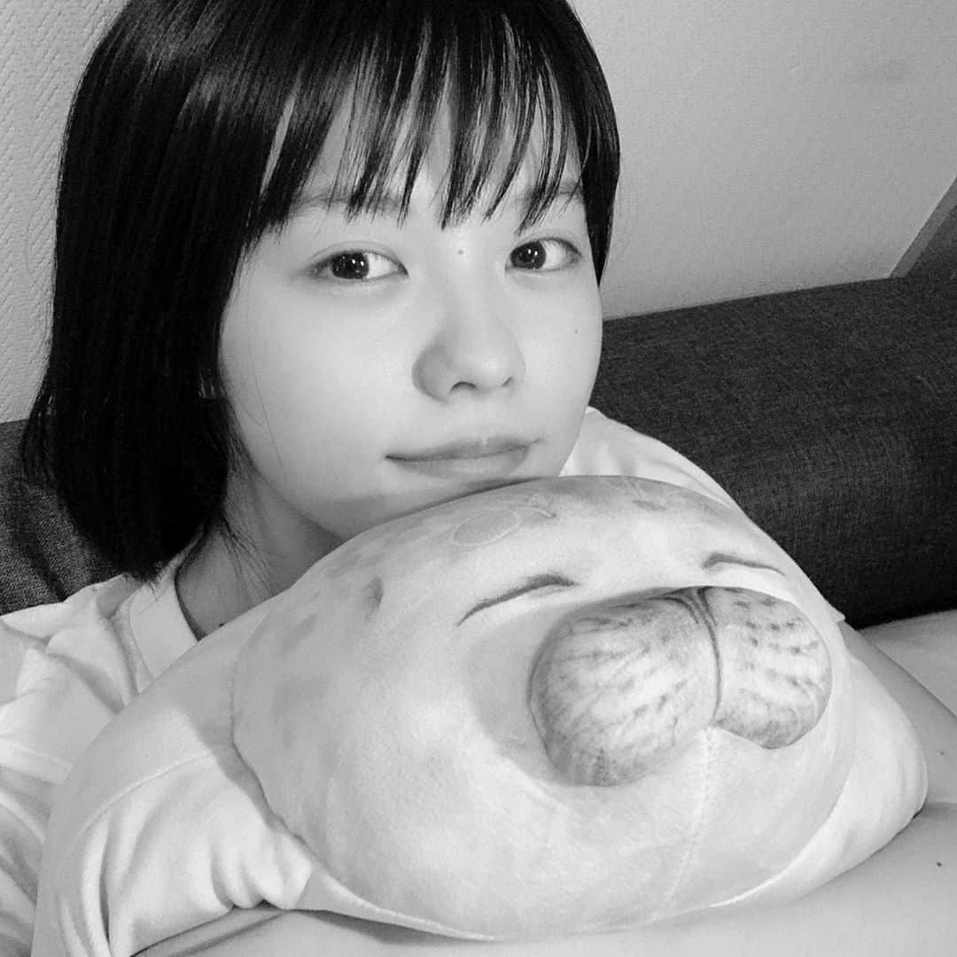 志田彩良のインスタグラム：「・ ゆっくり寝て お仕事行って マッサージ行って 今日も良い日でした。 ・ 写真は父の誕生日にプレゼントした アザラシのゆきちゃんクッション。 プレゼントしたはずなのに 私が1番使っている気がする、、。笑 触り心地も抱き心地も最高なんです！  よし、明日も楽しむぞ〜〜 おやすみなさい🌙💤」