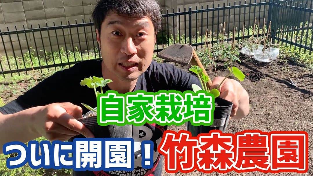 阿部浩貴のインスタグラム：「【アップダウンチャンネル】 今回は竹森が自宅の庭を畑に！ 竹森農園の開園です！ 土を耕し、作物を育て、美味しく頂くのを密着していきます！ 動画の後半は竹森農園独特の栽培方法も！ チャンネル登録よろしくお願いします！ #自家栽培　#自然農法 https://youtu.be/LEIbLKu5SW4」