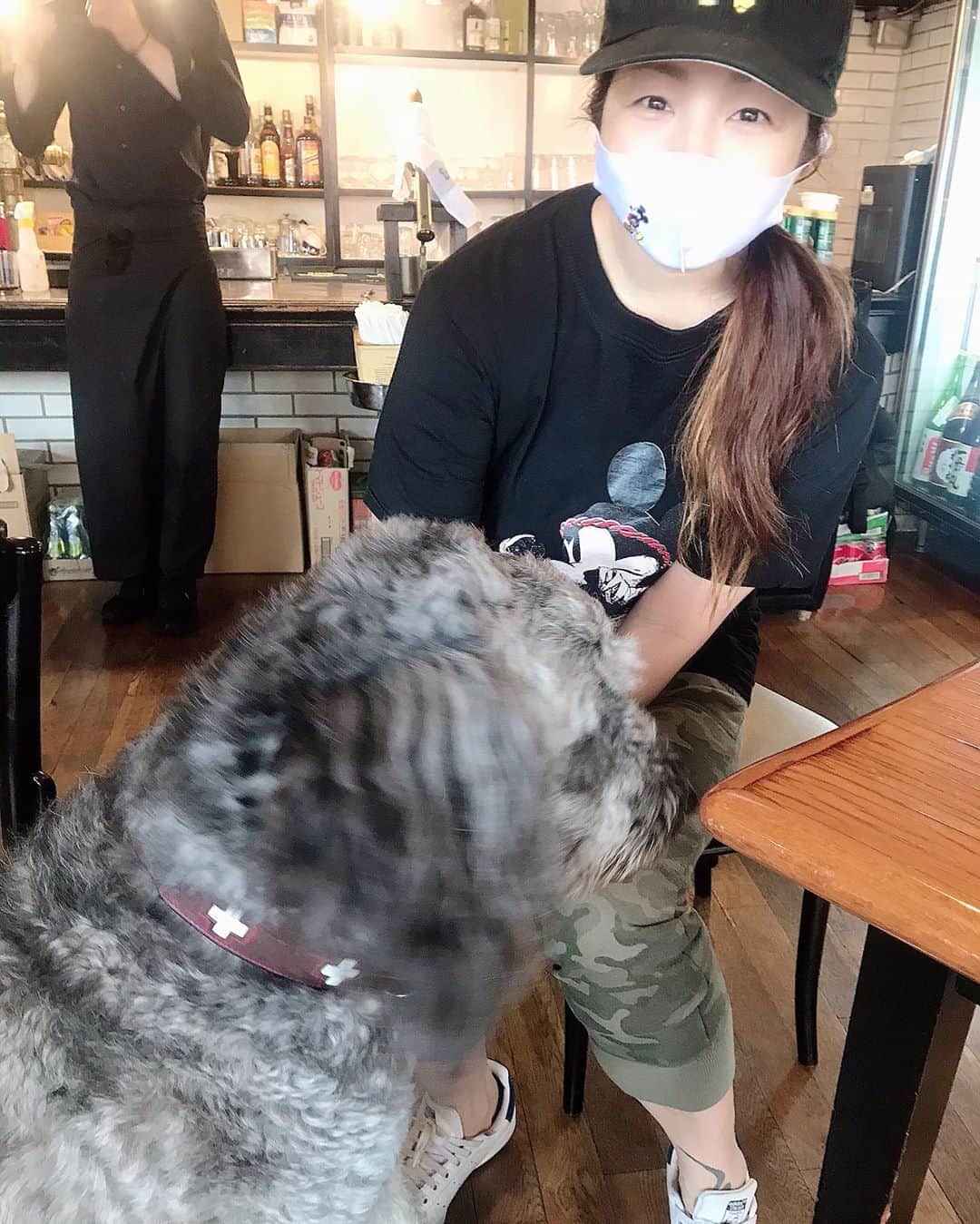 井上貴子のインスタグラム：「おついたちの儀式を終えて 道場のお掃除で汗ダクダク💦  そのあと 自分のトレーニングして  遅めのランチへ。 近所のカフェの看板ワンコ。  大きいけどまだ3歳♂  べにひおが居ると うるさいから 近くに来てくれないけど 今日はずーーっと 寄り添ってくれてたの^ ^  かわゆーい♡  家にいるときは お団子ヘア。 髪が伸びるとお団子も 大きくてイイ^ ^  Happyで^ ^  コロナ問題に携わる 全ての皆様。  心から 感謝しています。  #井上貴子  #LLPWX #女子プロレス #紅緒と柊音 #トイプードル #おついたち詣り #道場 #カフェランチ #お団子ヘア #イチナナ配信2日20時 #感謝 #STOPCOVID19」