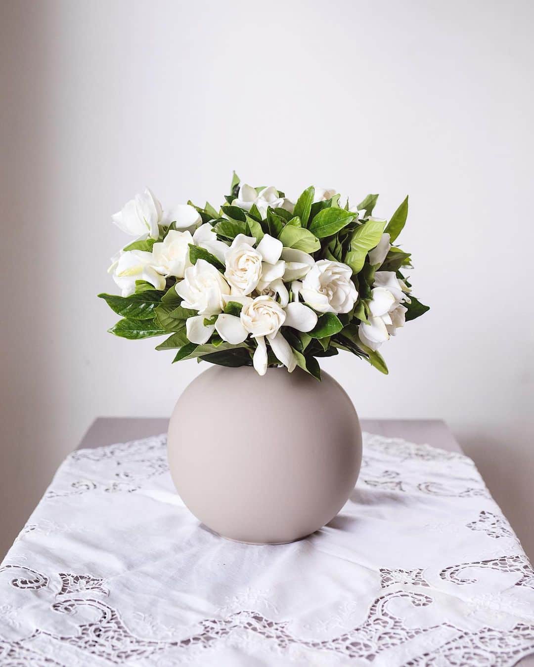 増田由希子さんのインスタグラム写真 - (増田由希子Instagram)「Hello July 🌿 #gardenia  #gardenias #beautifulfragrance #cooee」7月1日 21時16分 - nonihana_