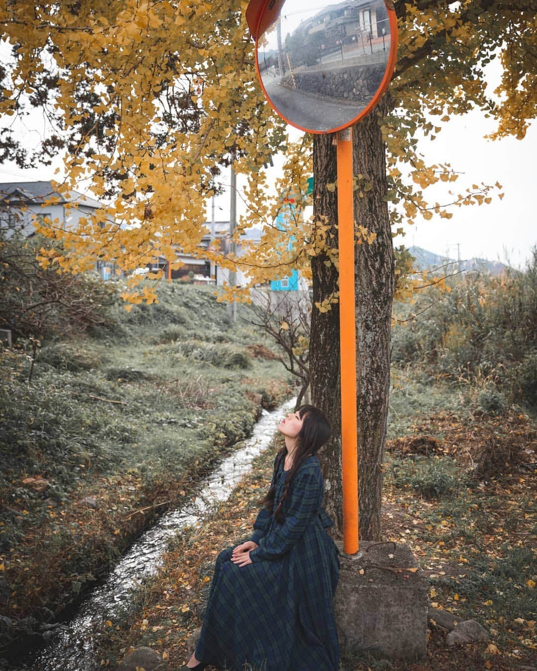 高橋さくらのインスタグラム：「* * この先に見える世界  * *  たかあきさんの秋写真すき！  #紅葉 #銀杏 #スナップ #ワンピース #秋 #ポートレート #カメラマン #モデル #黄色 #撮影 #関西 #splus_cameraclub  #かずさん写真部  #街角 #おさげ」
