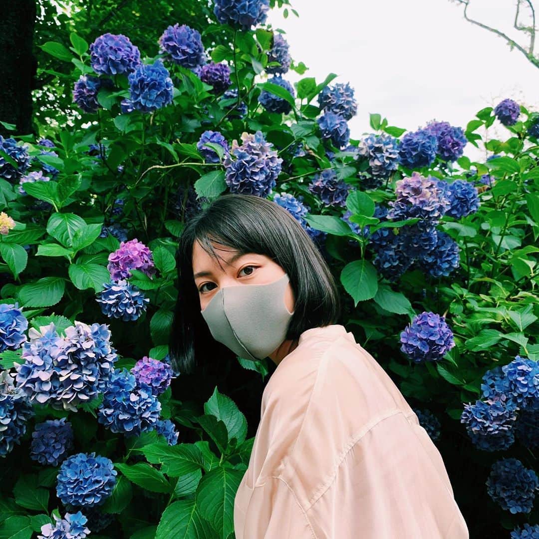 金井美樹 さんのインスタグラム写真 - (金井美樹 Instagram)「💜💙﻿ #7月 #紫陽花 #前髪 #まぁいっか」7月1日 22時19分 - kanaimikitea