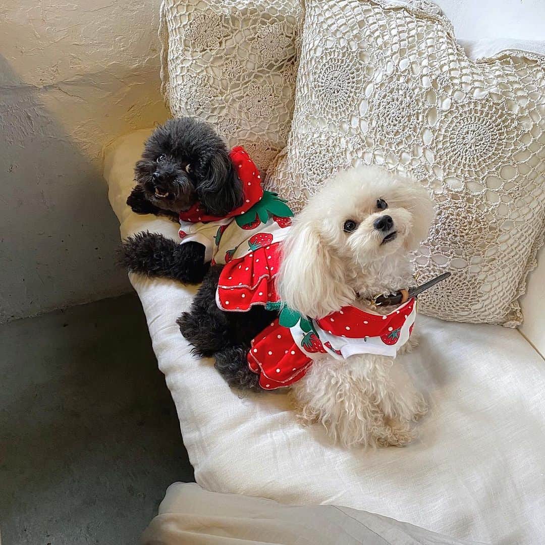 大野真昂のグルメインスタ