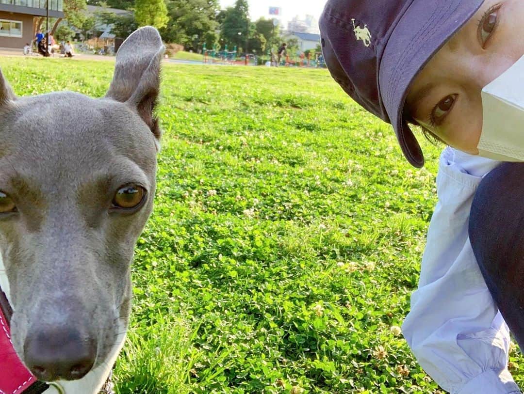 森貴美子さんのインスタグラム写真 - (森貴美子Instagram)「いつかの散歩🐕 ナナとのセルカは難しい😗 ・ ・ ・ #生後11ヶ月 #犬 #わんこ #ペット #イタリアングレーハウンド  #イタグレ #女の子 #itariangreyhound  #강아지 #이타리안그레이하운드 #멍멍이  #댕댕이」7月1日 22時38分 - morikimi_morikimi