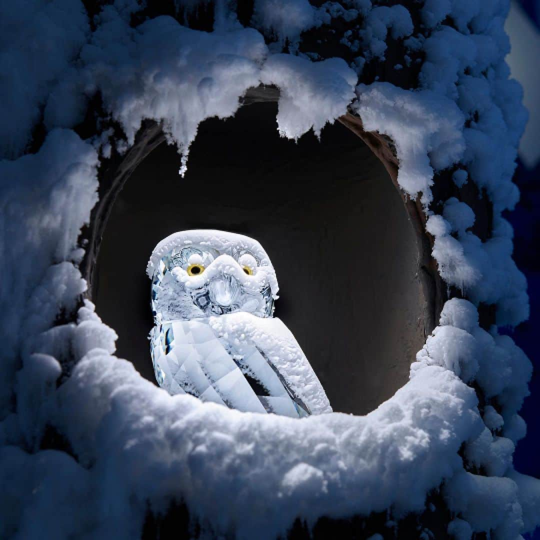 SWAROVSKIさんのインスタグラム写真 - (SWAROVSKIInstagram)「LET IT SNOW!  Under the watchful eyes of Swarovski crystal figurines owlet and squirrel, prepare to be drawn into a romantic world of Swarovski created crystals in combination with real snow crystals at Swarovski Kristallwelten. Through this juxtaposition, a phenomenal piece of crystal art is showing the balance of beauty and dark side of nature, always romantic or uncanny in the eye of the beholder.  #kristallwelten」7月1日 22時40分 - swarovski