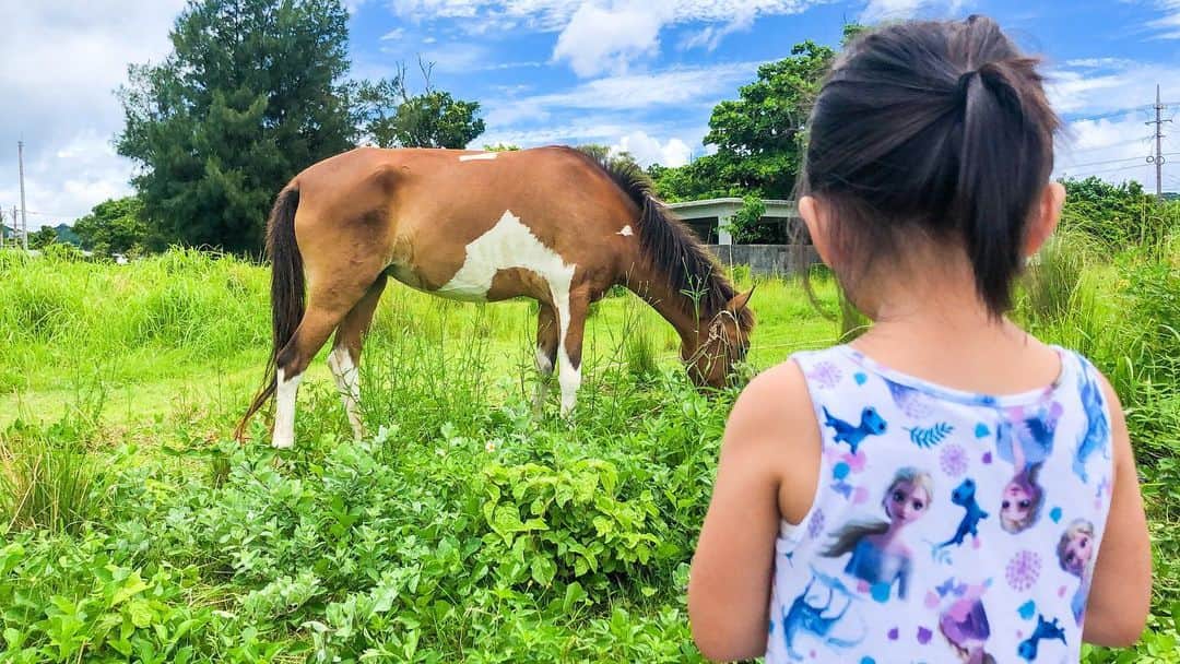 秋定麻紀子のインスタグラム：「じーーーーっと。 お馬さんを見つめる娘。 触りたい、近くに行きたい。 けど、もちろん怖い。  ローカルガールが優しくサポートしてくれました。  どの角度から見ても愛しい光景。」