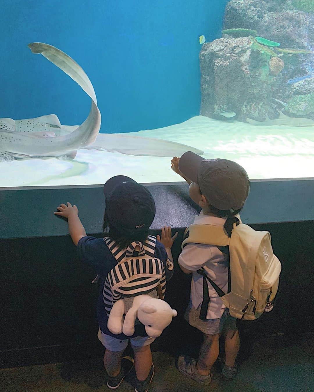 Remiのインスタグラム