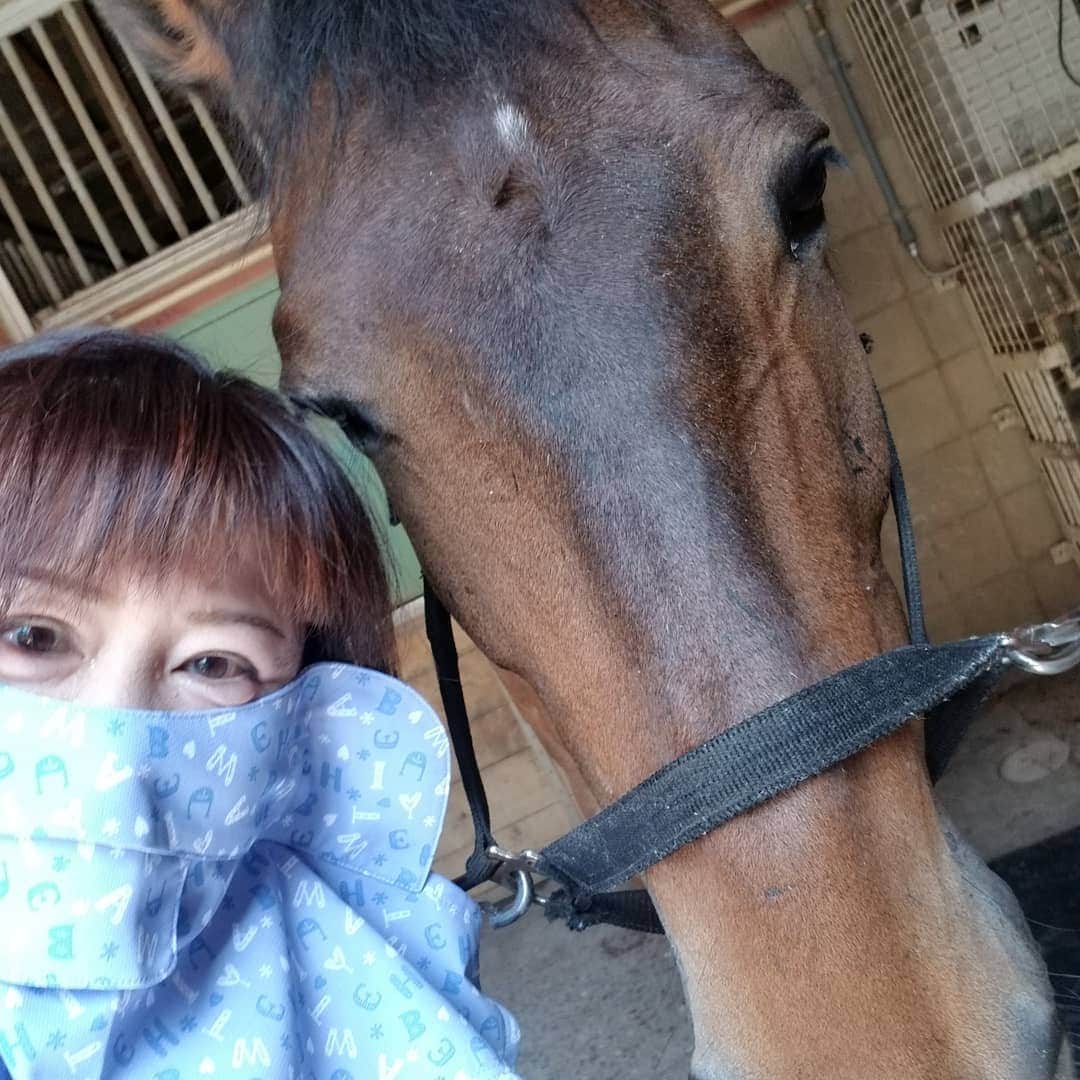 宇月田麻裕さんのインスタグラム写真 - (宇月田麻裕Instagram)「6/26乗馬日記　「あついよー」どん。　乗馬日記いきまーす。さて、レッスンは、どんちゃんこと「どん」＆Ｎ先生。どん、本当に、可愛い顔と馬体です。 下乗りなしで、いざ騎乗。　ほんと暑い。クラブハウスも、コロナ対策のため、窓が開いているせいもあり冷房があまり効いていなく暑い。例年だと、冷房で体を冷やしてから馬場に向かうのですが、それが、今年はできない。 速歩、軽速歩、うむ、重い。スピードに乗れず。　「どん、カケアシ」、どん「えー」、駈歩でず💦　 暑さで、頭痛がどんどん酷くなる。ということで、早めに下馬。これ以上乗っていたら、まずかったです。　ほんと、夏は弱い。熱中症体質。とくに、今年は、暑さがこたえる。 仕事が忙しいのもあり、インドアにいる時間が長いのもあるし、運動不足なのもあり。　去年の今ごろは、週に4-5日運動していたので、もう少し体力があったのでしょうねー。　乗馬日記、次回に続く。　あつい・・・・💦」7月1日 22時58分 - mahiro_utsukita