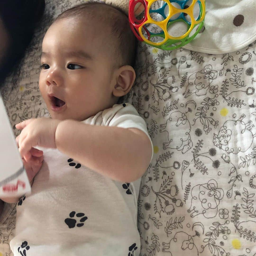 にわみきほさんのインスタグラム写真 - (にわみきほInstagram)「今日もお疲れ様でした💤 👶🏼の離乳食ストックを作っていたらこんな時間に、、 最近はかなり早く寝ているので 久しぶりに夜更かし母ちゃんです  7月スタートですね☺️ 毎日を大切にゆっくりと過ごしています そして我が家の息子くんは急成長中です🌈 久しぶりにいくつかアップしちゃおう〜  #がおーという絵本が大好き #爆笑すると目がなくなる男子です #夏のお家プール用に初めての水着を購入 #お気に入りすぎて早速食べている #そして朝寝昼寝夕寝 #たくさん寝ております #離乳食もスタートしました #顔が男の子っぽくなってきたかしら？ #5ヶ月　#男の子ママ　#新米ママ」7月2日 0時26分 - mikiho_niwa