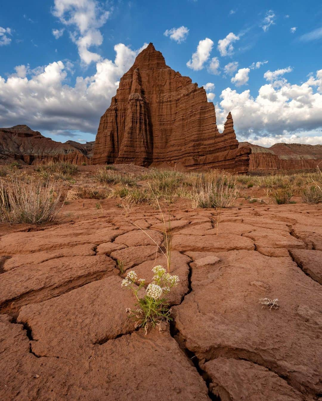 アンジー・ペインさんのインスタグラム写真 - (アンジー・ペインInstagram)「More moments, scenes and textures from Capitol Reef National Park. I spent two days in this park in May while shooting a project for @visitutah. It’s now very high on the list of places I’d like to return to.  • • • #macro #macrophotography #landscape #landscapephotography」7月2日 0時41分 - angelajpayne